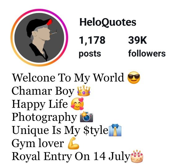 Jay Bhim Chamar Instagram Bio